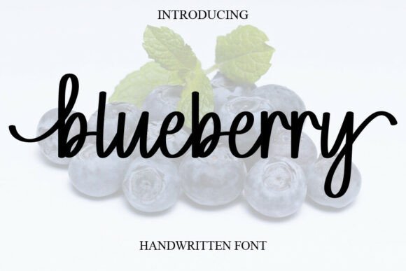 Blueberry: The Handwritten Font with Heart